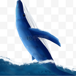 卡通蓝色的鲸鱼