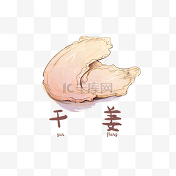 手绘彩色中药干姜装饰画