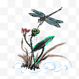 夏天蜻蜓手绘插画