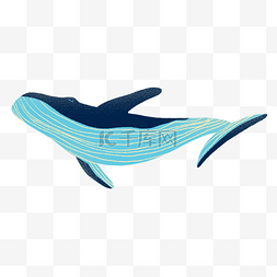 蓝色动物鲸鱼