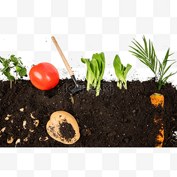 农业绿色图片_有机蔬菜栽培种植