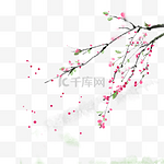 中国风写意水墨夏季花开花落立夏装饰