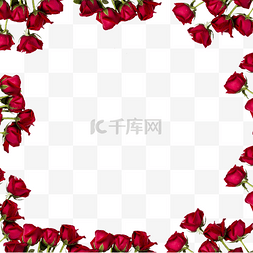 玫瑰花瓣框图片_情人节玫瑰花边框
