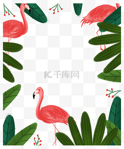 夏日火烈鸟绿植树叶组合插画边框