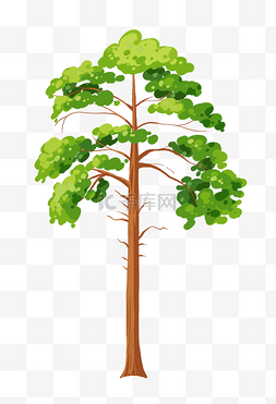 植树造林展板图片_一颗杨树树木插画