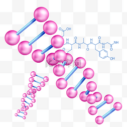 dna螺旋图片_基因DNA