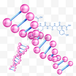 基因DNA