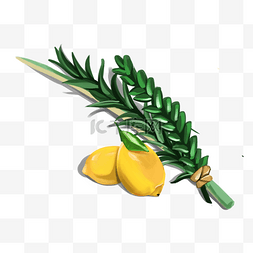 植物棚图片_住棚节手绘黄色柠檬植物