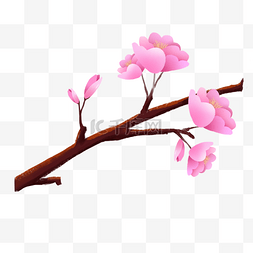 樱花树插图图片_粉色唯美樱花树插图