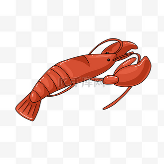 可爱龙虾卡通插画