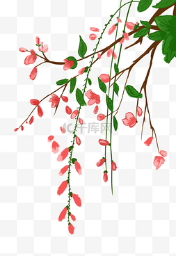 盛开的红粉花枝