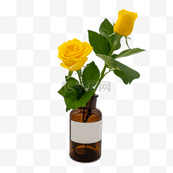 两枝黄玫瑰和花瓶