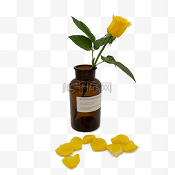玻璃瓶植物图片_黄玫瑰和茶色玻璃瓶花瓶