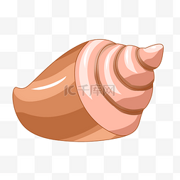 贝壳珍珠线性图片_棕色图案海螺