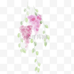 水彩紫藤萝植物