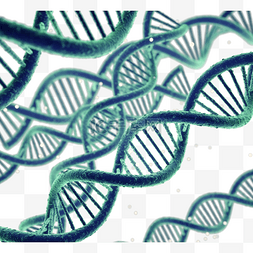 基因渐变图片_3d彩色渐变dna螺旋结构元素