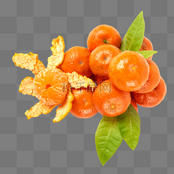 新鲜砂糖橘水果