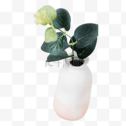 绿色植物花瓶