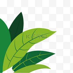 绿色植物叶子装饰元素