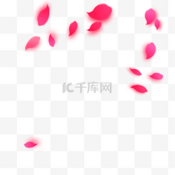零散飘飞的粉色花瓣