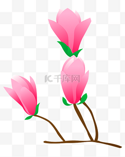 粉红色的玉兰花图片_粉红色小清新玉兰花免抠PNG