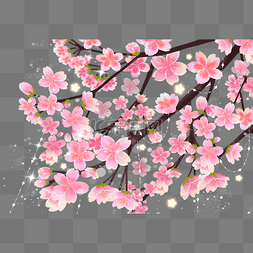 樱花星星植物春季