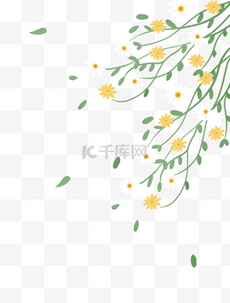 淡绿小白花图片_春季植物花丛小雏菊小白菊
