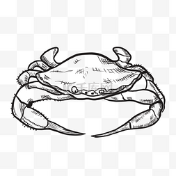 大螃蟹卡通图片_线描大闸蟹卡通素材
