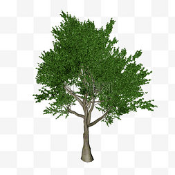 ps模型植物图片_绿色树木
