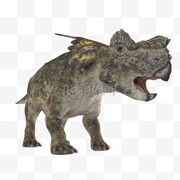 凶猛动物动物图片_立体恐龙灰色恐龙
