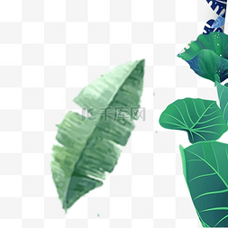 绿色的枝叶植物设计