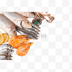 海鲜多春鱼图片_新鲜水产鲷鱼红杉鱼金线鱼多春鱼