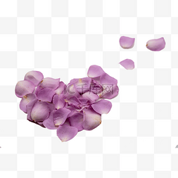 素材心形状图片_桃心形状花瓣紫色玫瑰