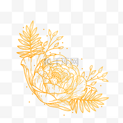 金色线条树叶图片_手绘金色线条花卉