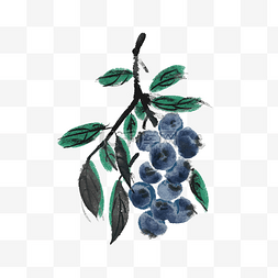 水墨蓝莓新鲜水果手绘插画