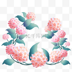 粉色清新花藤图片_小清新粉色绣球花花环