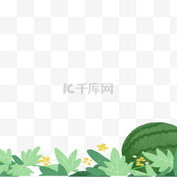 绿色的西瓜和叶子免抠图