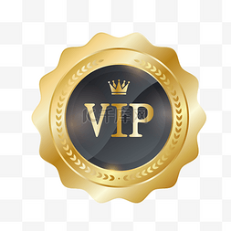 VIP金属徽章素材