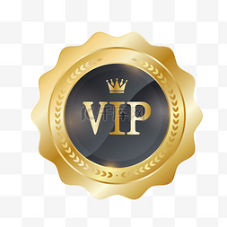 vip卡纸图片_VIP金属徽章素材