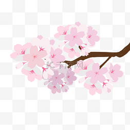 春天樱花花枝手绘树干