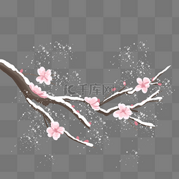 冬天落雪粉色花枝