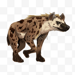 食肉动物鬣狗