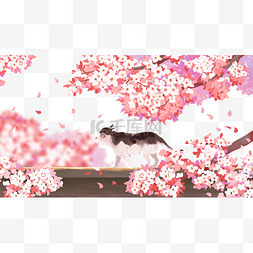 樱花樱花节樱花季春天