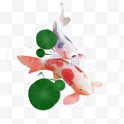 手绘日本彩色锦鲤