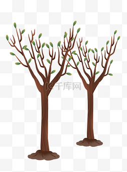 春季植物树苗树木发芽嫩芽