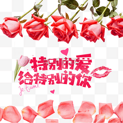 七夕芬芳鲜艳的玫瑰