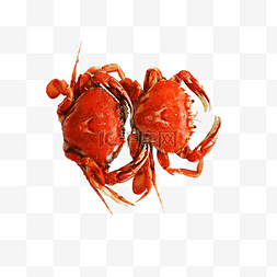 海鲜火锅食材图片_美味海鲜螃蟹