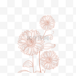 线描植物叶子图片_玫瑰金线描植物花卉