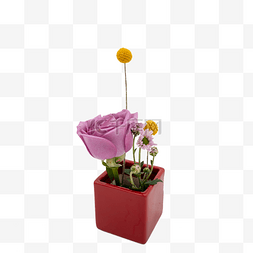插花花器图片_紫色玫瑰鲜花插花