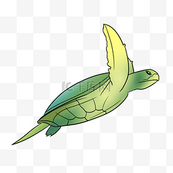 绿色卡通海龟